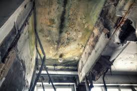 Best HVAC Mold Inspection and Cleaning in Portland, TN